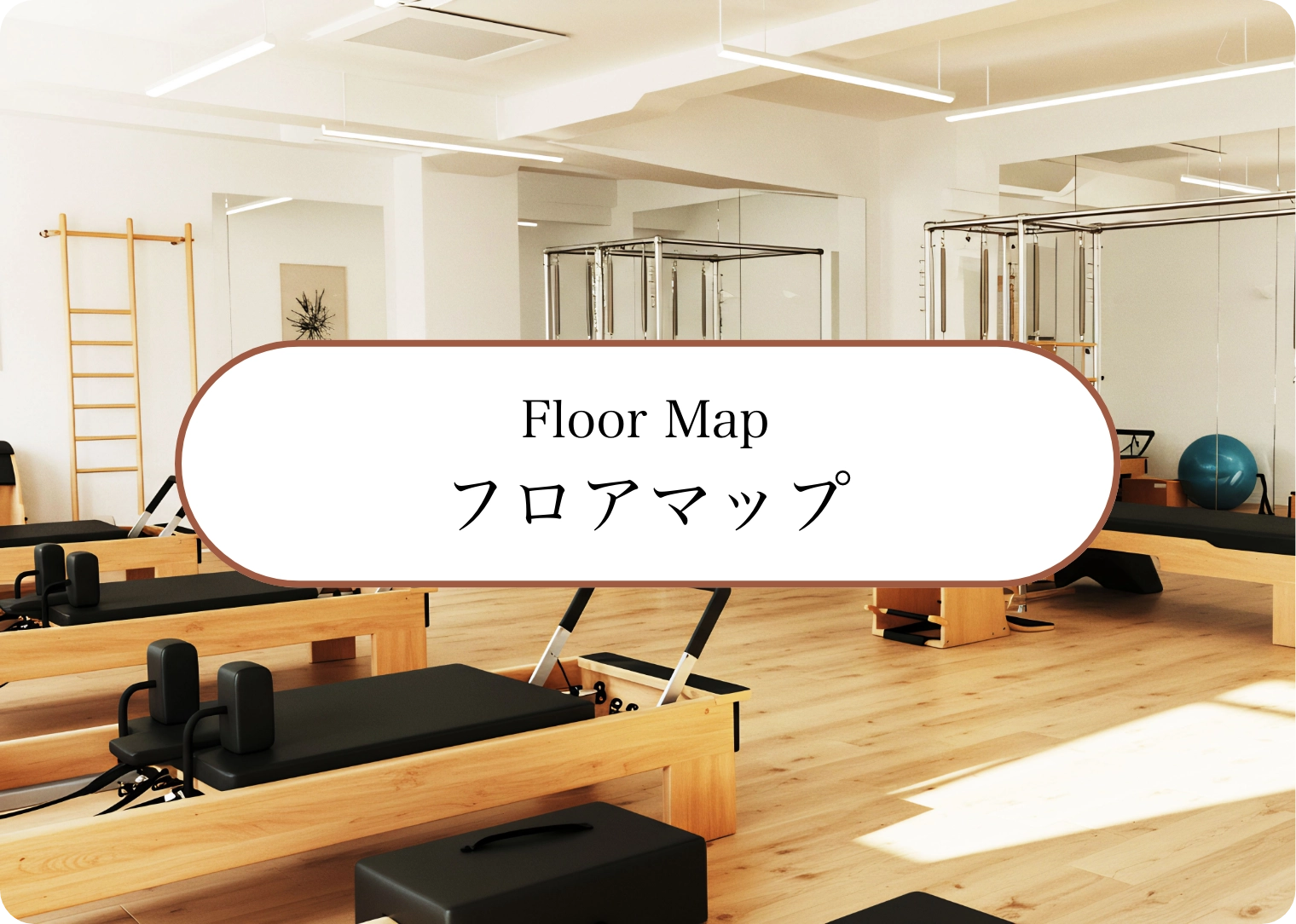 Lady's Base フロアマップ