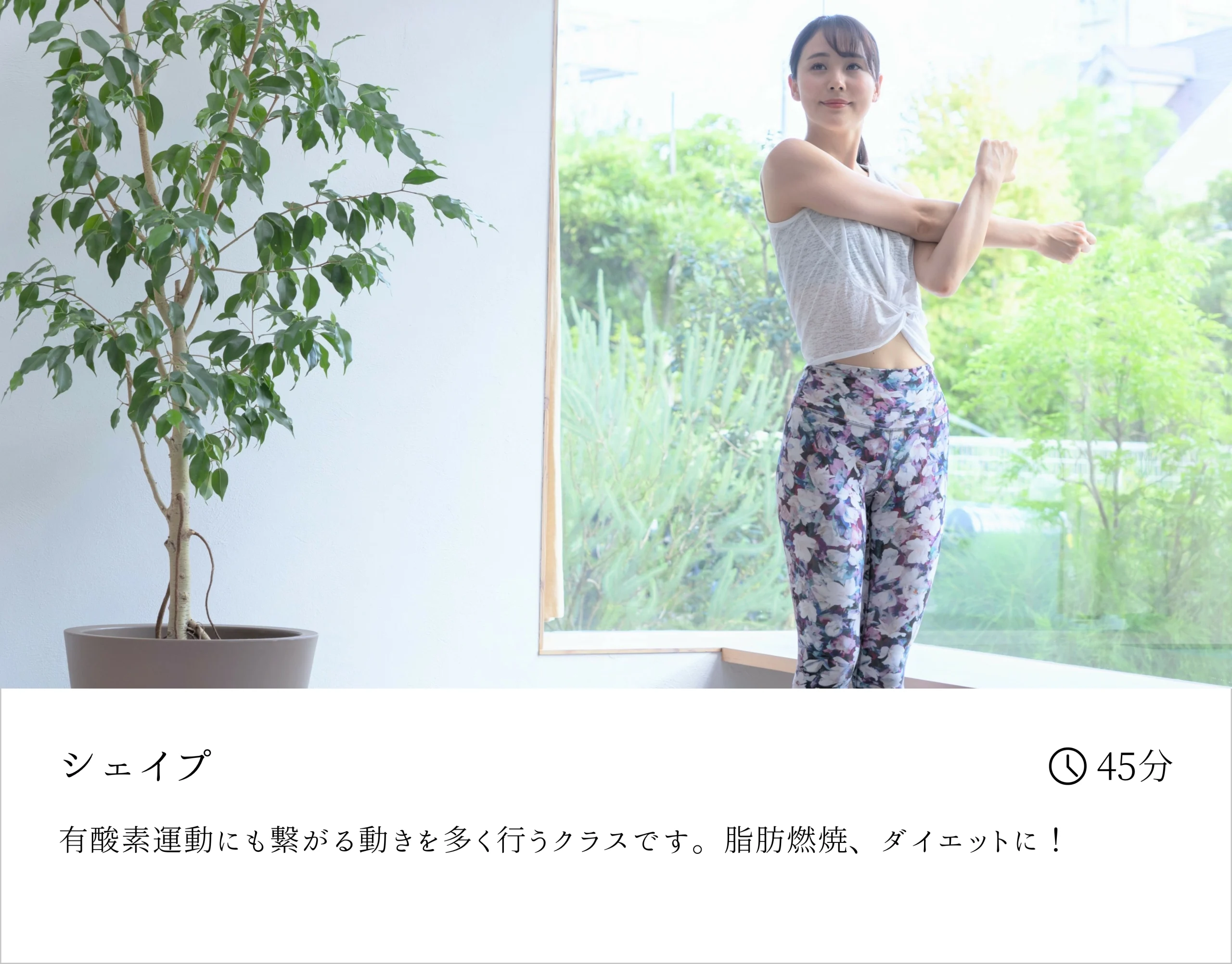 プログラム画像
